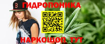 ПСИЛОЦИБИНОВЫЕ ГРИБЫ Берёзовский