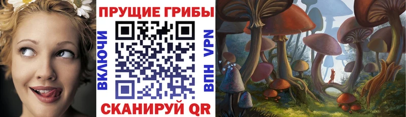 Галлюциногенные грибы мицелий цена наркотик Вятские Поляны
