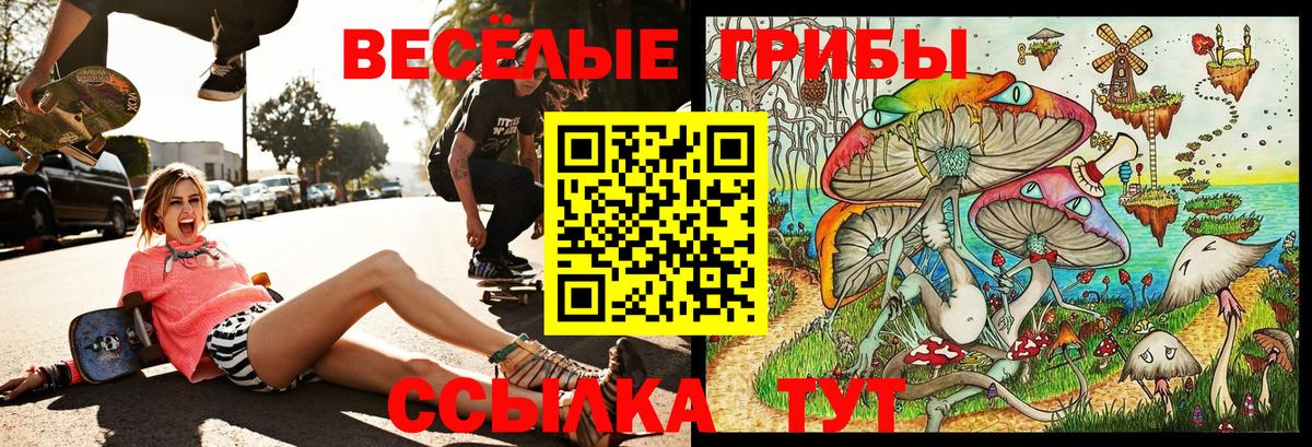Галлюциногенные грибы Psilocybine cubensis  Вход с VPN  Вятские Поляны 