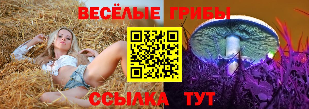 Галлюциногенные грибы мицелий Вятские Поляны